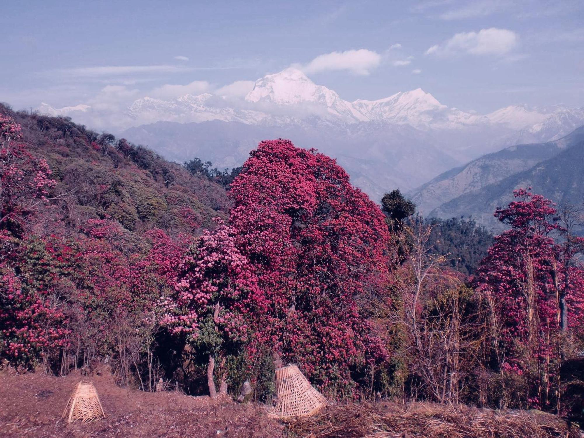 Hotel Annapurna View Sarangkot Pokhara Esterno foto